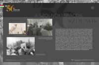 Óriásplakát kiállítással nyit az 56-os emlékév Szolnokon